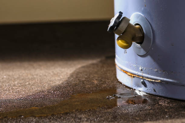  Gorman, TX Water damage restoration Pros