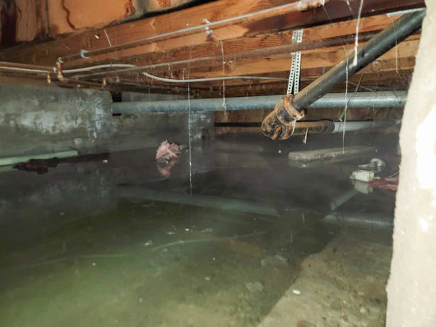 Best Water damage restoration near me  in Gorman, TX