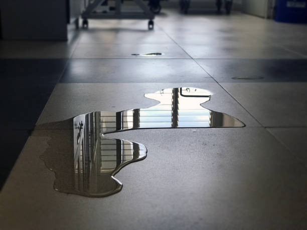 Best Water damage restoration cost  in Gorman, TX