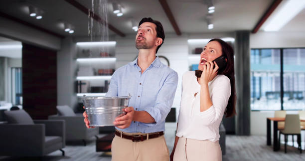 Best Water damage cleanup near me  in Gorman, TX